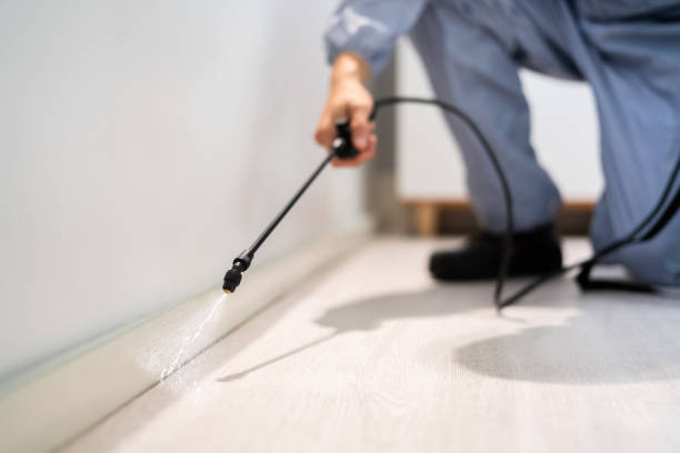 Licensed Rodent Control service in Wilmette, IL - Nex Pest Control