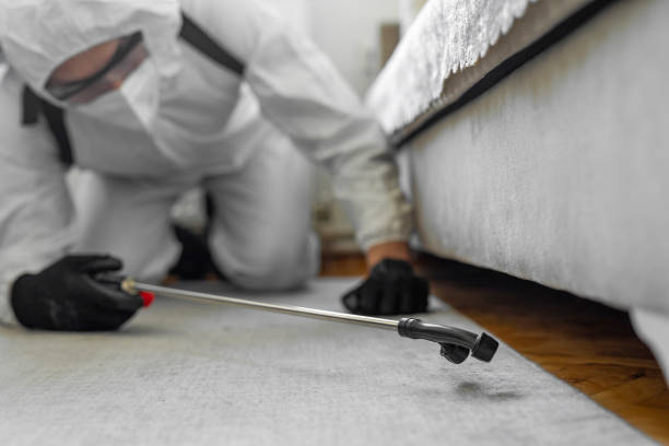 Professional Rodent Control technician working in Wilmette, IL