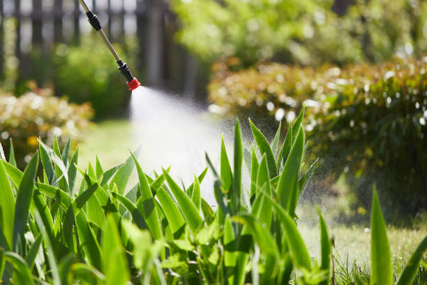24/7 Emergency Rodent Control experts in Wilmette, IL