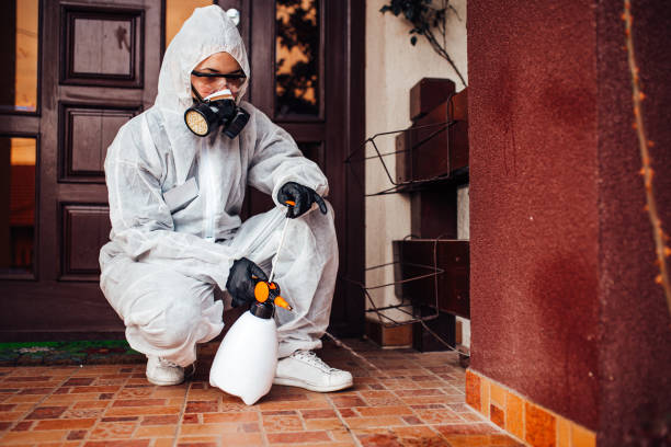 Reliable Rodent Control contractor in Wilmette, IL by Nex Pest Control