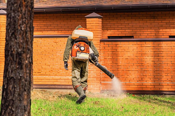Trusted Rodent Control service in Wilmette, IL - Nex Pest Control